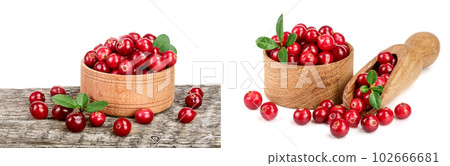 Cranberry with leaf in wooden bowl on old wooden table with white background Cranberry with leaf in wooden bowl on old wooden table with white background 102666681