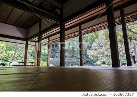 初夏的Shoren-in Monzeki，從京都府京都市花鳥殿看到的Soami花園的新鮮綠色 102667337
