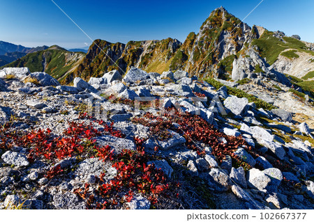 Central Alps・Hokendake and Urashima Azalea Central Alps・Hokendake and Urashima Azalea 102667377