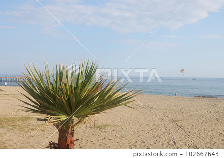 Storm on a sandy beach on a cloudy, rainy evening, mediterranean sea, , alanya, turkey, may 2023. 102667643
