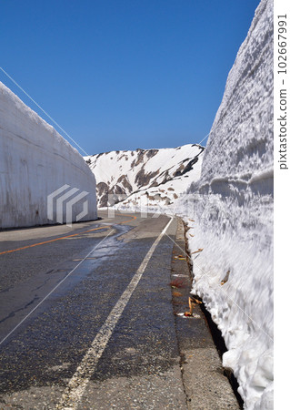 Otani of Tateyama Snow 102667991