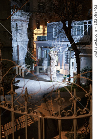 Captivating photo of an Istanbul yard unfolds Captivating photo of an Istanbul yard unfolds 102668452
