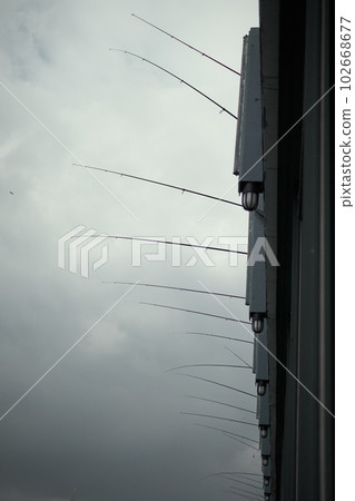 People fish from the Galata bridge The bridge is well known for rod fishing at sunset. 102668677