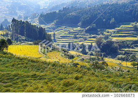 高知縣 / 收穫前的“吉信梯田” 高知縣 / 收穫前的“吉信梯田” 102668873