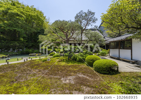 京都府京都市龍心池和相見庭園初夏的青蓮院門跡 102668935