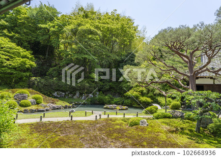 京都府京都市龍心池和相見庭園初夏的青蓮院門跡 京都府京都市龍心池和相見庭園初夏的青蓮院門跡 102668936