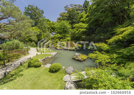 京都府京都市龍心池和相見庭園初夏的青蓮院門跡 102668958