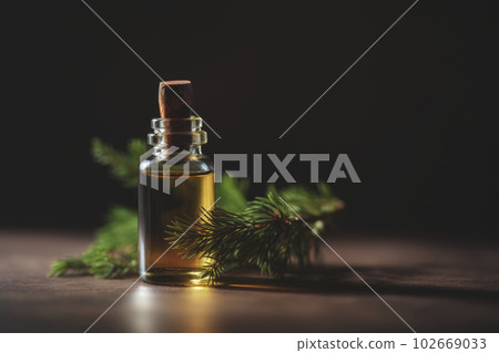 Cedar wood essential oil in a small transparent glass bottle next to a branch of cedar on a dark wooden background with copy space for text. Generative AI. 102669033