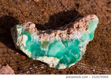 Mineralogical sample of chrysoprase lying on wood, deposit Kazakhstan 102670908