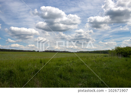 Green field in the spring, Sekule, Slovakia Green field in the spring, Sekule, Slovakia 102671907