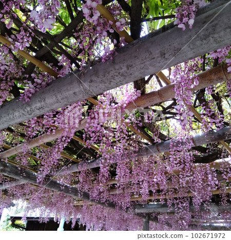 Fujien Kitakyushu 2015 CNN Japan's 31 most beautiful places No, 4 Fujien Kitakyushu 2015 CNN Japan's 31 most beautiful places No, 4 102671972