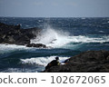 Wave 102672065