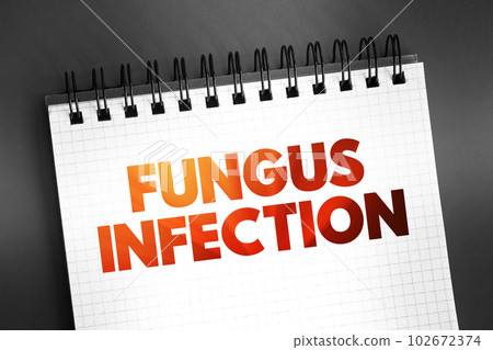 Fungus infection - mycosis, is a skin disease caused by a fungus, text on notepad, concept background Fungus infection - mycosis, is a skin disease caused by a fungus, text on notepad, concept background 102672374