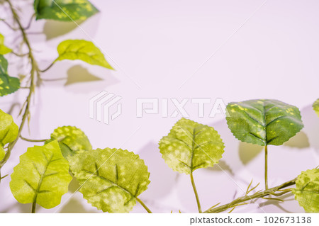 leaves on a white background 102673138
