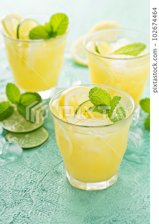 Refreshing citrus cocktail with lemon Refreshing citrus cocktail with lemon 102674464