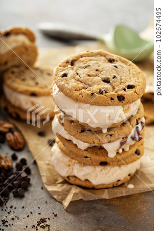 Ice cream sandwiches with chocolate chip cookies 102674495