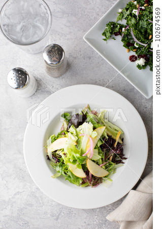 Fall salad and appetizer table 102674569