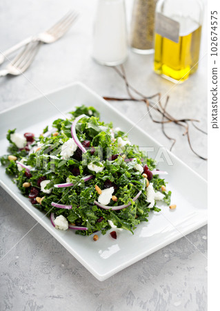 Kale salad with cranberry and feta 102674575