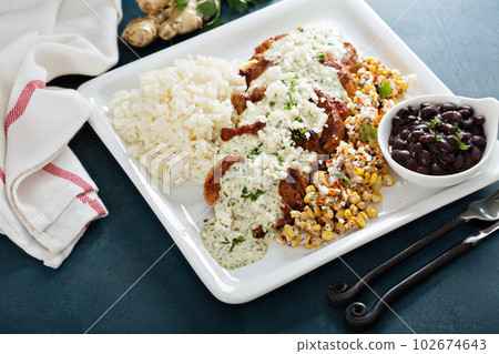 Verde pork with rice and black beans Verde pork with rice and black beans 102674643