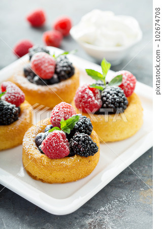 Dessert cups with fresh berries 102674708