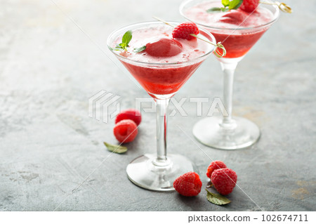 Raspberry sorbet rose floats 102674711