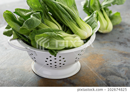Fresh baby bok choy 102674825