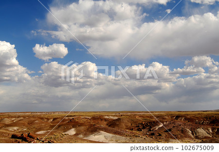 Rugged Landscape Petrified Forest Arizona 102675009