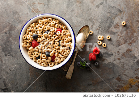 Healthy cold cereal in a bowl 102675130