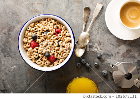 Healthy cold cereal in a bowl 102675131