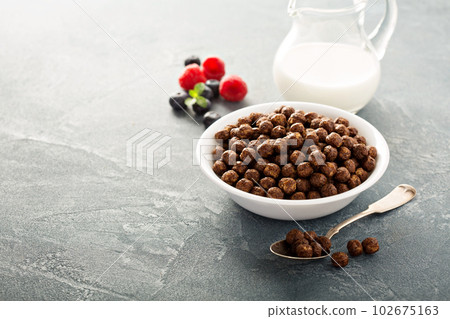 Chocolate cereals in a white bowl Chocolate cereals in a white bowl 102675163