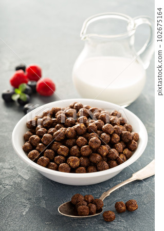 Chocolate cereals in a white bowl Chocolate cereals in a white bowl 102675164