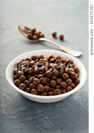 Chocolate cereals in a white bowl 102675167