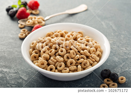 Healthy cold cereal in a white bowl 102675172