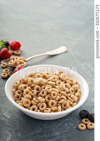 Healthy cold cereal in a white bowl Healthy cold cereal in a white bowl 102675173