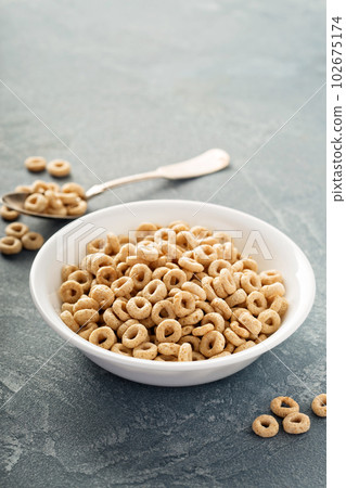 Healthy cold cereal in a white bowl 102675174