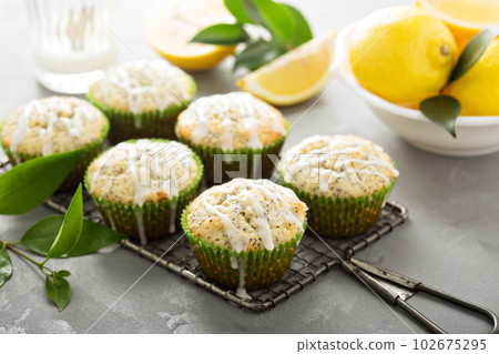 Lemon poppy seed muffins 102675295