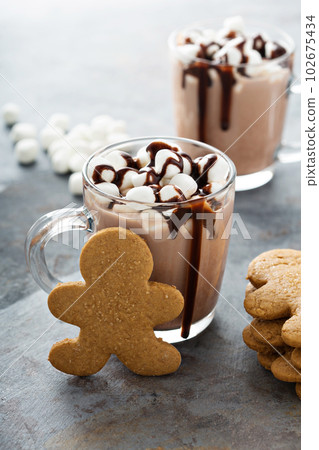 Hot cocoa with marshmallows and cookies 102675434
