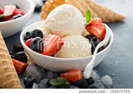Vanilla ice cream with berries 102675743