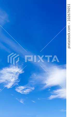 Blue sky with clouds, flying birds and green branches. Summer nature. Road. Blue sky with clouds, flying birds and green branches. Summer nature. Road. 102676051