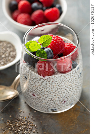 Vanilla chia pudding with fresh berries Vanilla chia pudding with fresh berries 102676137