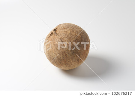 椰子白色背景 102676217