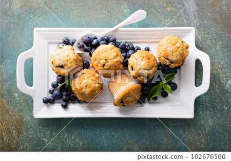 Blueberry muffins on a plate 102676560