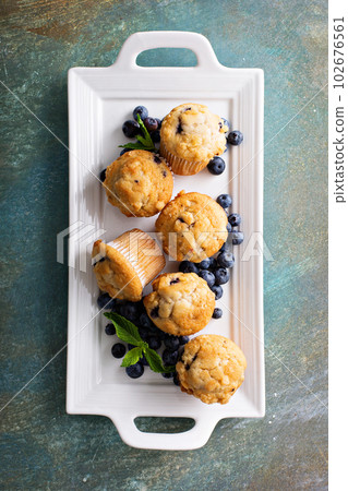 Blueberry muffins on a plate Blueberry muffins on a plate 102676561