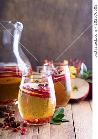 Fall sparkling drink with apple cider and pomegranate 102676608