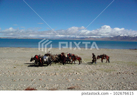 West Tibet Lake Manasarovar 102676615