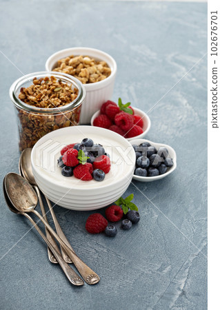 Healthy Greek yogurt bowl with berry 102676701