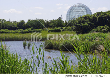 葛西臨海公園/上池塘 葛西臨海公園/上池塘 102676769