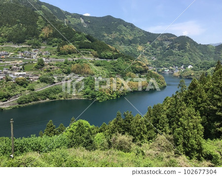 在陽光明媚的五月天，茶園和新鮮的綠色植物在半山中發芽 102677304