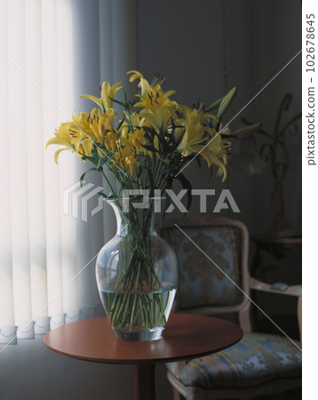 Yellow Asiatic lilies in a glass vase with the soft light coming through the blinds in the living room Yellow Asiatic lilies in a glass vase with the soft light coming through the blinds in the living room 102678645