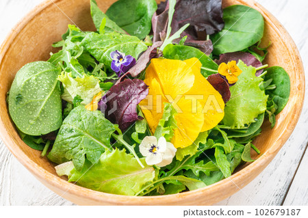 Bowl of salad Bowl of salad 102679187
